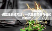 疯狂宠物打游戏：一次独特而富有情感的体验