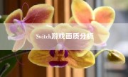 Switch游戏画质分析