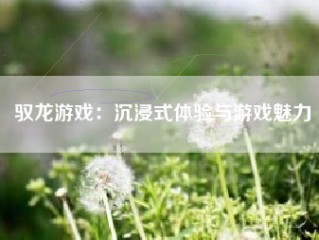 驭龙游戏：沉浸式体验与游戏魅力