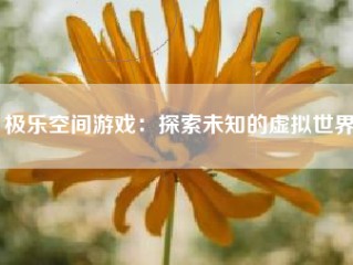 极乐空间游戏：探索未知的虚拟世界