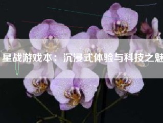 星战游戏本：沉浸式体验与科技之魅