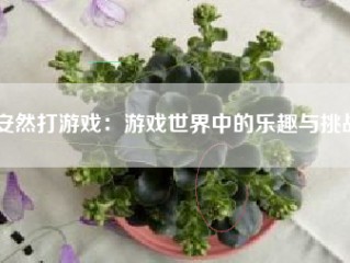 安然打游戏：游戏世界中的乐趣与挑战