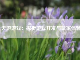 天游游戏：探析游戏开发与玩家体验