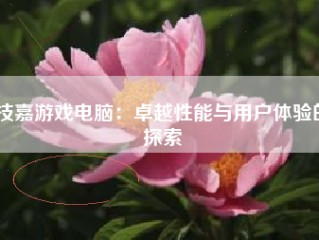 技嘉游戏电脑：卓越性能与用户体验的探索