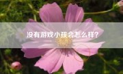 没有游戏小孩会怎么样？