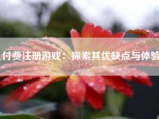 付费注册游戏：探索其优缺点与体验