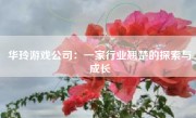 华玲游戏公司：一家行业翘楚的探索与成长