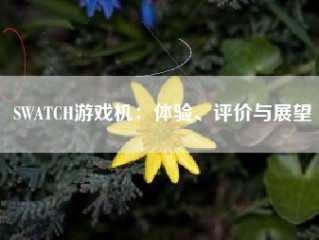 SWATCH游戏机：体验、评价与展望