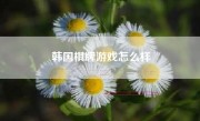 韩国棋牌游戏怎么样