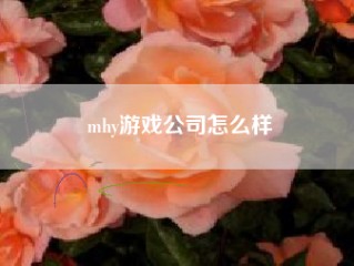 mhy游戏公司怎么样