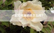 一起打电脑游戏怎么样？