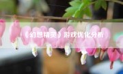 《幻想精灵》游戏优化分析