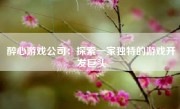 醉心游戏公司：探索一家独特的游戏开发巨头