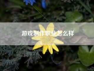 游戏制作职业怎么样