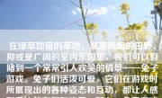 在绿草如茵的草地、温暖明媚的田野、抑或是广阔的室内乐园里，我们可以目睹到一个常常引人欢笑的情景——兔子游戏。兔子们活泼可爱，它们在游戏时所展现出的各种姿态和互动，都让人感到无比的有趣和欢乐。那么，兔子游戏时会怎么样呢？