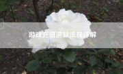 游戏充值退款流程详解