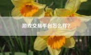 游戏交易平台怎么样？