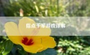 指点千军游戏详解