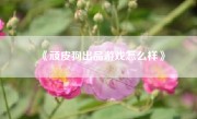 《顽皮狗出品游戏怎么样》