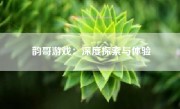 韵哥游戏：深度探索与体验