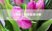 《神武》游戏音质详解