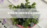 华为荣耀10游戏体验深度解析