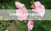 世界游戏：无尽乐趣的探索