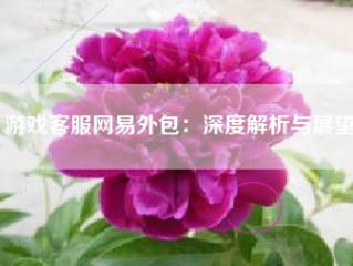 游戏客服网易外包：深度解析与展望