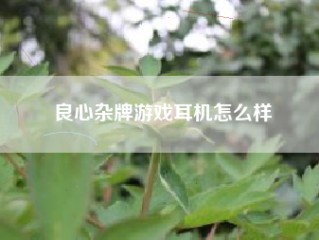 良心杂牌游戏耳机怎么样