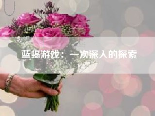 蓝蝎游戏：一次深入的探索