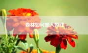 森林如何加入游戏