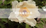 游戏私服怎么样