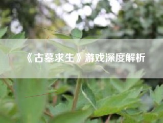 《古墓求生》游戏深度解析