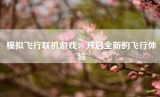 模拟飞行联机游戏：开启全新的飞行体验