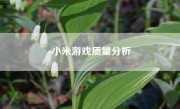 小米游戏质量分析