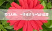游戏太极2：一场视听与体验的盛宴