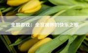 全屏游戏：全览视界的快乐之旅