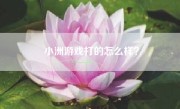 小洲游戏打的怎么样？
