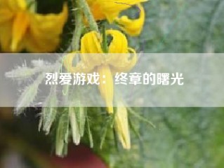 烈爱游戏：终章的曙光