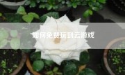 如何免费玩到云游戏