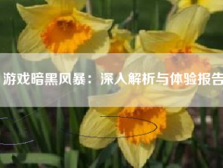 游戏暗黑风暴：深入解析与体验报告