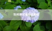如何做汉堡游戏解说