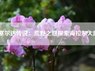 塞尔达传说：荒野之息探索海拉尔大陆