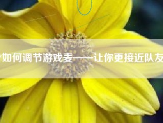 **如何调节游戏麦——让你更接近队友**