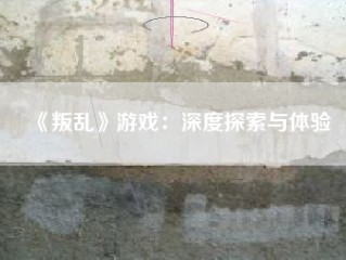 《叛乱》游戏：深度探索与体验