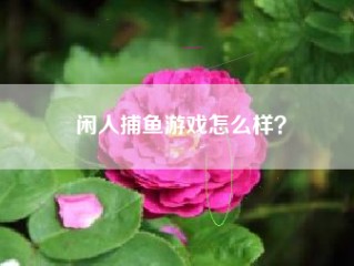 闲人捕鱼游戏怎么样？