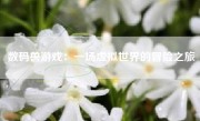 数码兽游戏：一场虚拟世界的冒险之旅