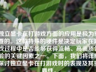 独立显卡在打游戏方面的应用是极为重要的。这款特殊的硬件是决定玩家在游戏过程中是否能够获得流畅、高画质体验的关键因素之一。下面，我们将详细探讨独立显卡在打游戏时的表现及其重要性。