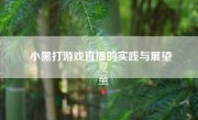 小黑打游戏直播的实践与展望