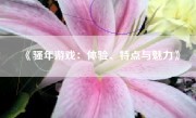 《骚年游戏：体验、特点与魅力》